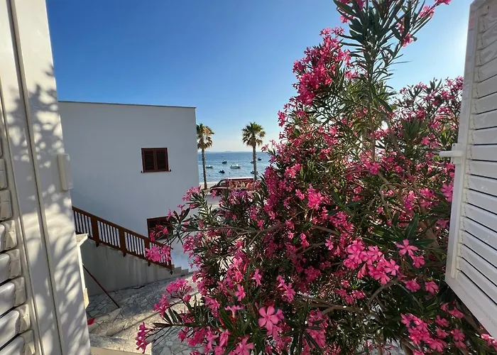 Emko Apartmens アパート *