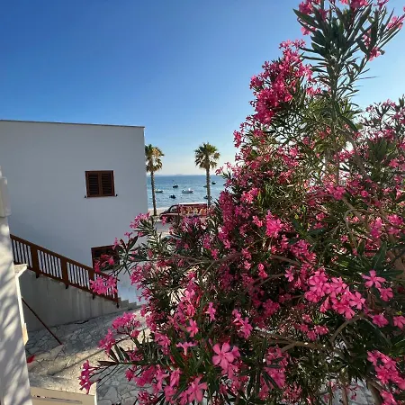 Emko Apartmens Apartman *